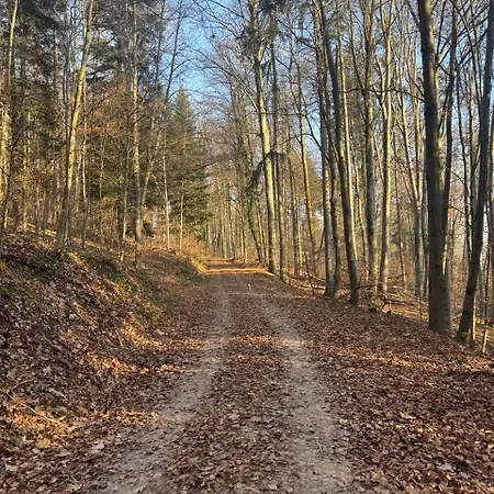 Ruhezeit - Ferien- & Monteurwohnung Mit Terrasse & Parkplatz Bei