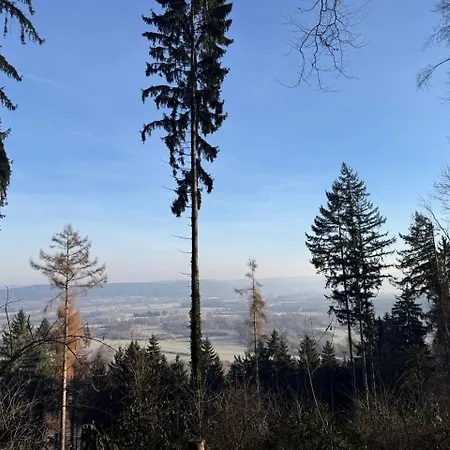 Ruhezeit - Ferien- & Monteurwohnung Mit Terrasse & Parkplatz Bei Lejlighed Radolfzell am Bodensee