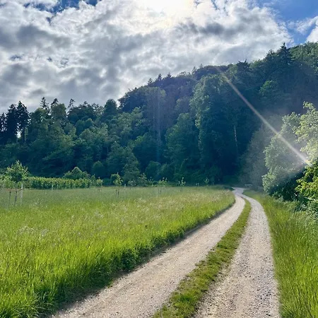 Ruhezeit - Ferien-&monteurwohnung Mit Terrasse&parkplatz Bei Radolfzell am Bodensee